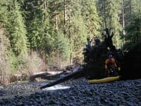 Log Portages