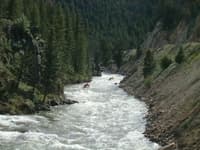 The Narrows