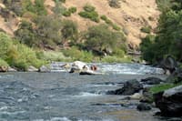 Easy rapids