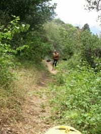 Kings Canyon Hike