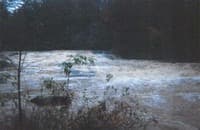 Mossy Creek 1st/2nd slide