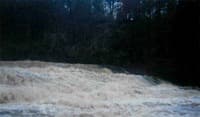 Mossy Creek