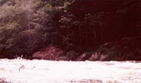 Pigeon River
