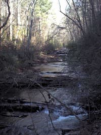 Long Swamp Creek