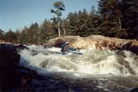 Powerline, Bottom Moose
