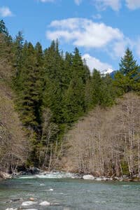 Creek view from Wooley Camp