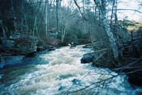 Side Creek at Sweetwater
