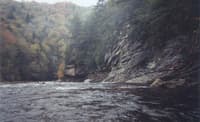 Shavers Fork Scenery