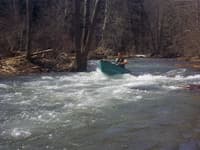 shweet creek