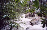 Oilcamp Creek