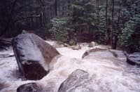 An average rapid