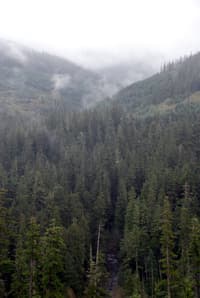 Upper Canyon Creek