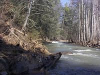 Big Cove Creek