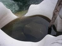 Pot Hole in Bald Rock Canyon