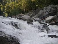 Complex Rapid
