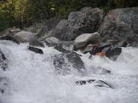 Complex Rapid 2