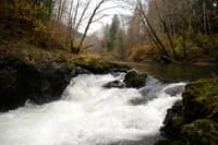 Hoko Falls