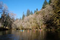 Sol Duc