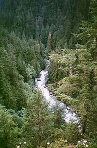Cascade River