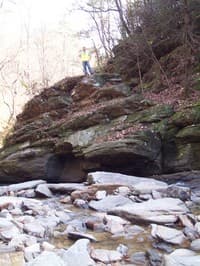 Rottenwood
