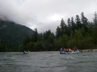Rafts on the Skagit