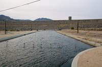 Borel Canal