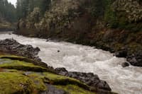 Hollywood Gorge