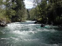 rapids on lower