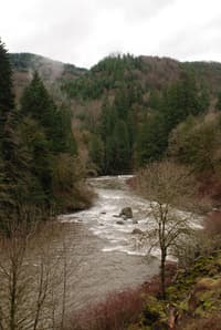 Lower Kalama River