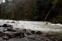 Leader Rapids