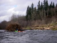 Log Jam on the White