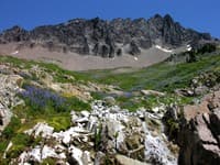 Cispus Basin
