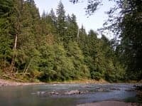 Hoh River