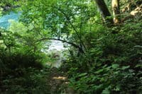 Trail to Bottom of S Bends