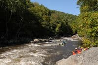 Looking Downstream Towards National Falls