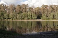 Lyman Ferry