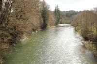 View of River from Elk Creek Bridge Looking Upstream