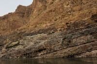Rock Layers Near Confluence