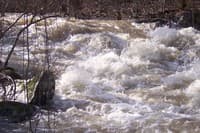 iron ring rapid