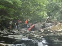 Geddes Vertical Pin Spot