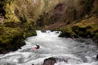Leap of Faith