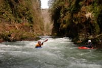 Final Rapid