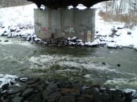 Jaws Hazard 