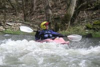 Boone Creek March 2008