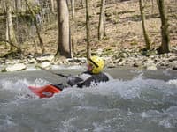 Boone Creek March 2008