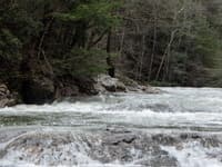 First Rapid 1