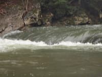 First Rapid 2