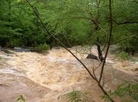 [0013] Last Big Rapid