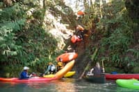Canyon Creek Take-out trail