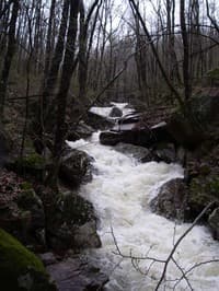 Upper Dry Creek